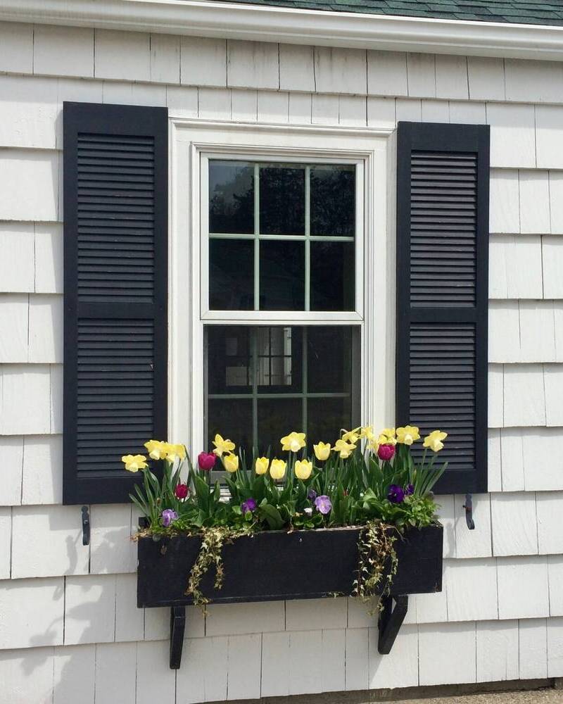 Window Box With Spring Flowers Window Box With Spring Flowers